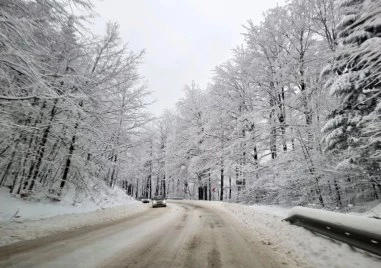 Сняг натрупа на прохода Петрохан, движението за тирове е спряно