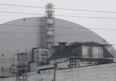 Чернобилската гъба, която сякаш живее от радиация