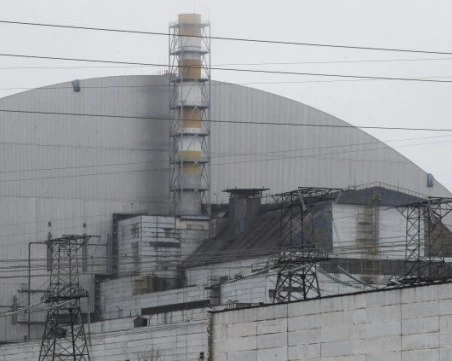 Чернобилската гъба, която сякаш живее от радиация