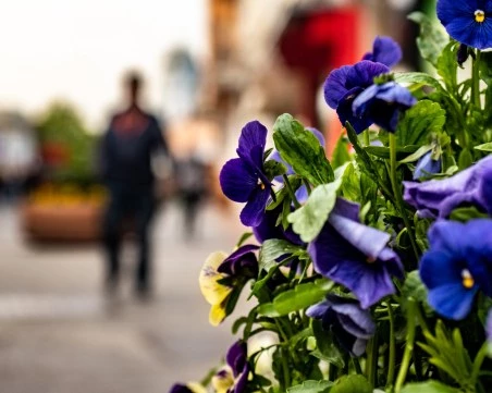 Предимно облачно, но без валежи ще е днес времето в Пловдив