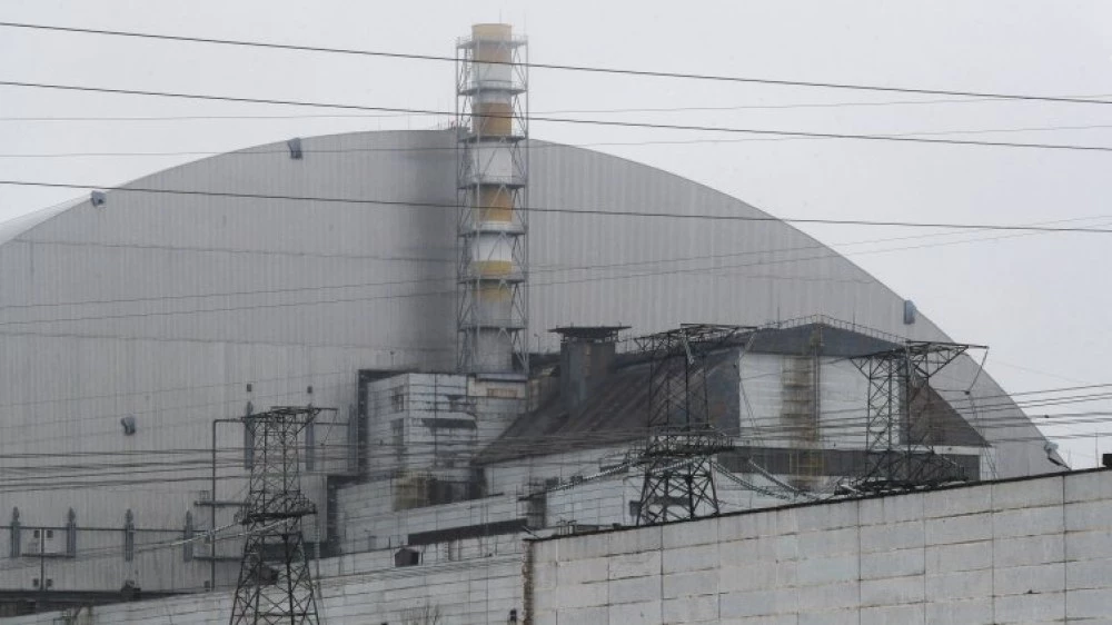 Чернобилската гъба, която сякаш живее от радиация