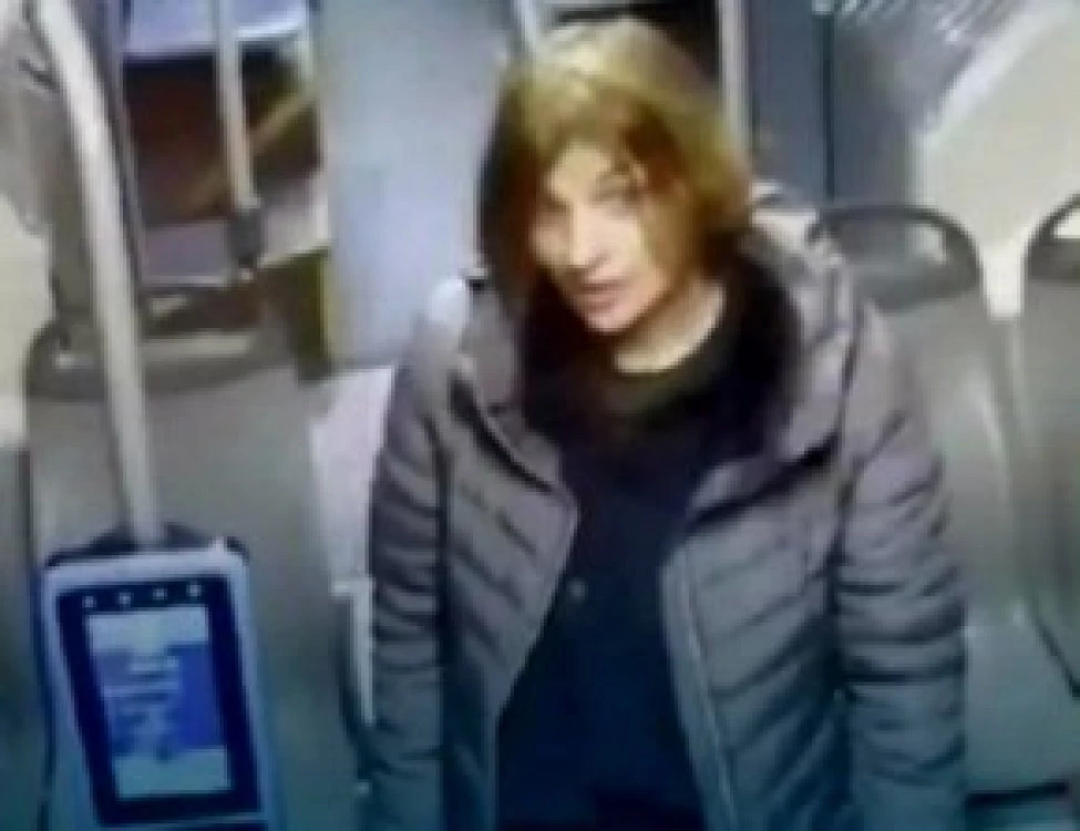 Прокуратурата ще иска настаняване в психиатрия на жената, намушкала четирима германци