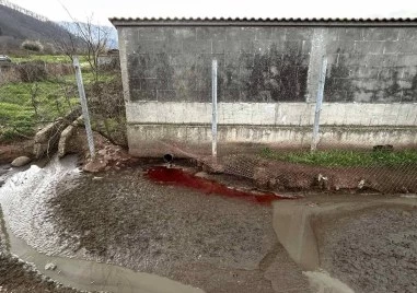 Кървава течност потече в река Лесидренска, открити са 880 кг месни разфасовки без маркировка