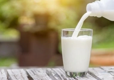 Млякото в България става все по-евтино за изкупуване, а за фермерите става все по-скъпо да го произвеждат