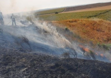 Повишен риск от пожари в Пловдивско: РИОСВ разпореди засилени мерки