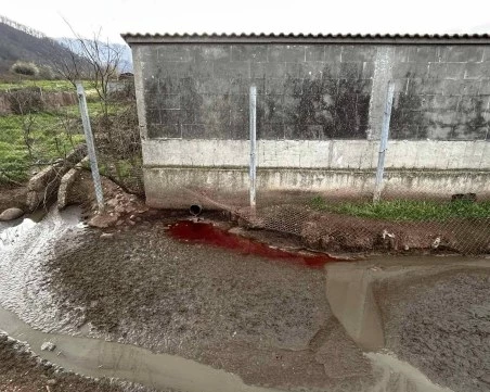 Кървава течност потече в река Лесидренска, открити са 880 кг месни разфасовки без маркировка