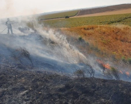 Повишен риск от пожари в Пловдивско: РИОСВ разпореди засилени мерки