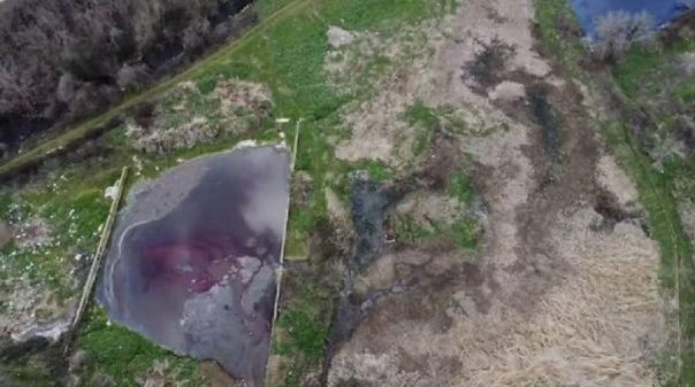 Кървава течност потече в река Лесидренска, открити са 880 кг месни разфасовки без маркировка