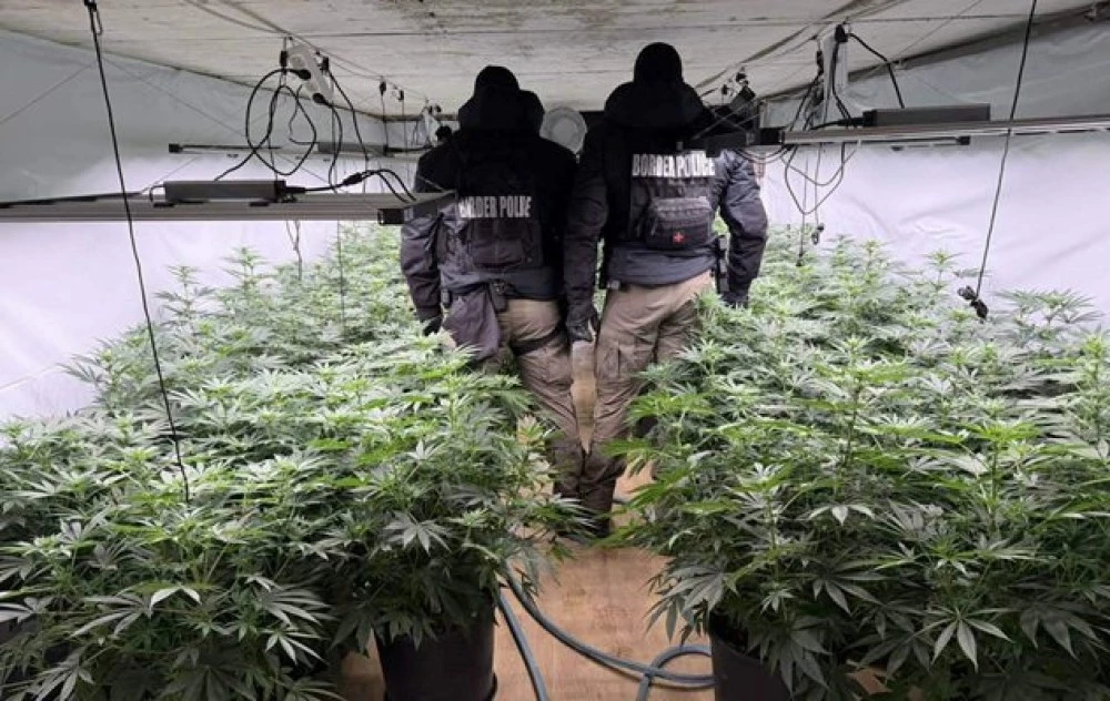 Разкриха наркооранжерия: Задържан е чужденец, издирван от Интерпол