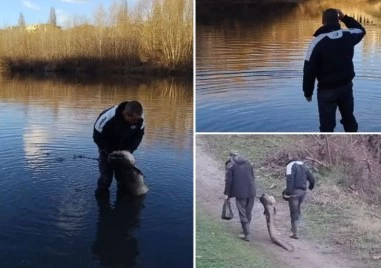 Рибар извади огромен сом от Марица в Пловдив ВИДЕО