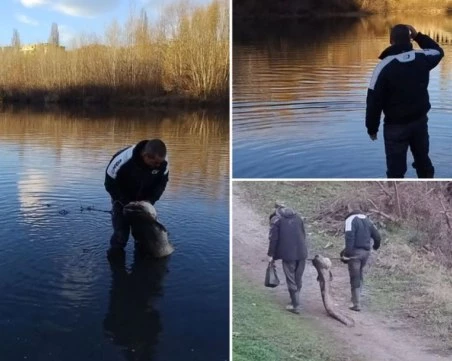Рибар извади огромен сом от Марица в Пловдив ВИДЕО