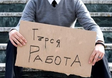 Млади и необразовани: Всеки втори под 30 г., търсещ работа в Пловдив, няма дори 8 клас