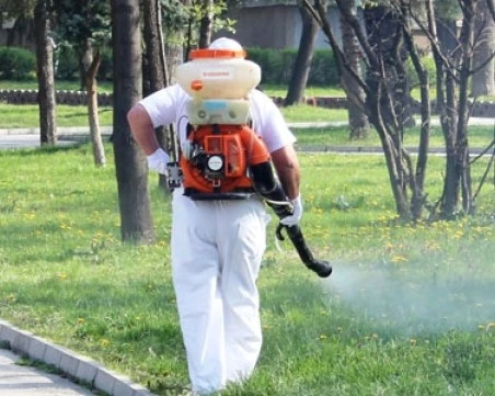 Продължават да обработват тревните площи срещу акари в Пловдив