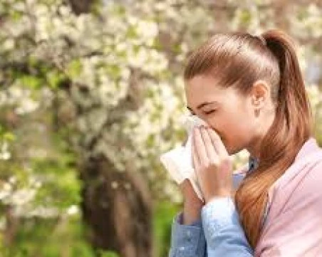 Полезни навици, които спасяват от пролетните алергии