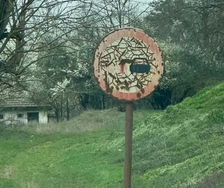 Русинова: Каквито са ни знаците, такива са ни и пътищата