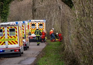 Трима загинаха при падане на дърво по време на търсене на великденски яйца в Германия