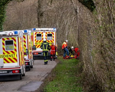 Трима загинаха при падане на дърво по време на търсене на великденски яйца в Германия