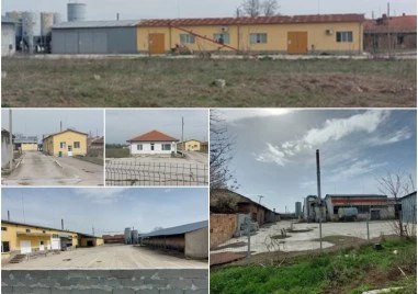 След редица неуспешни търгове на ЧСИ: НАП продава голямата фабрика за олио в Първомай на безценица