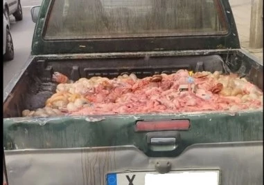 Заловиха шофьор да вози животински вътрешности в открит пикап, кръв течала по пътя