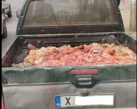 Заловиха шофьор да вози животински вътрешности в открит пикап, кръв течала по пътя