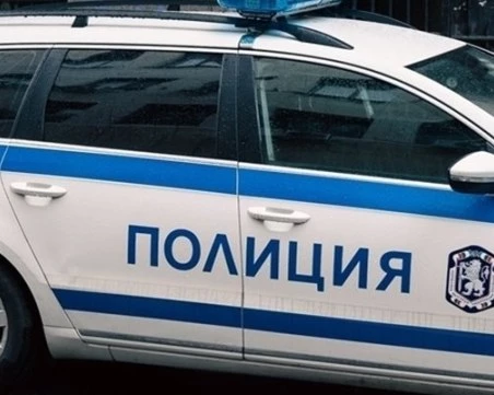 Жестокост: Отровиха кучета в Търновско, намериха и обесена котка