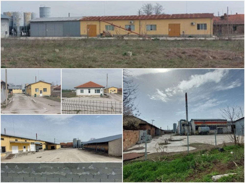 След редица неуспешни търгове на ЧСИ: НАП продава голямата фабрика за олио в Първомай на безценица