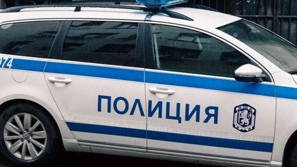 Жестокост: Отровиха кучета в Търновско, намериха и обесена котка