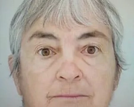 Откриха бастуна на изчезналата жена от село Ръжена, издирването й продължава