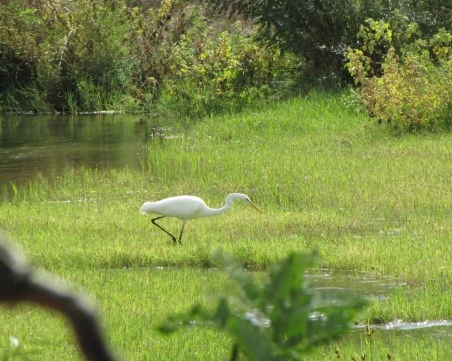 Зам.-министърът на земеделието открива форум за възстановяване на крайречните гори в КИЦ „Малтепе