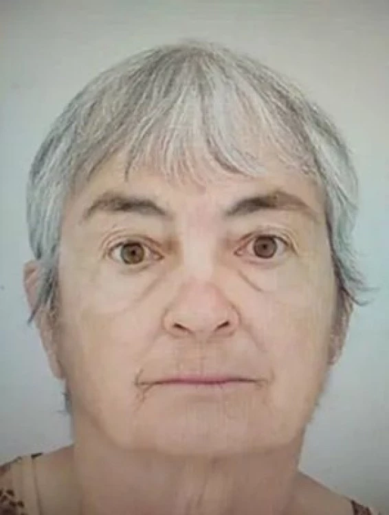 Откриха бастуна на изчезналата жена от село Ръжена, издирването й продължава