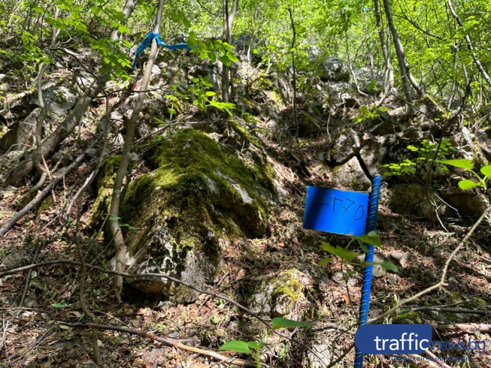 24 часа разлика! Община Асеновград внезапно промени позицията си за съдбата на Горнослав