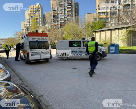 Без следа от глава и крайници при откритото тяло край контейнер в Тракия, установяват самоличността