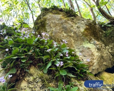 Най-после! Държавата с решителни действия по спорната зона край Горнослав, поставя я под защита