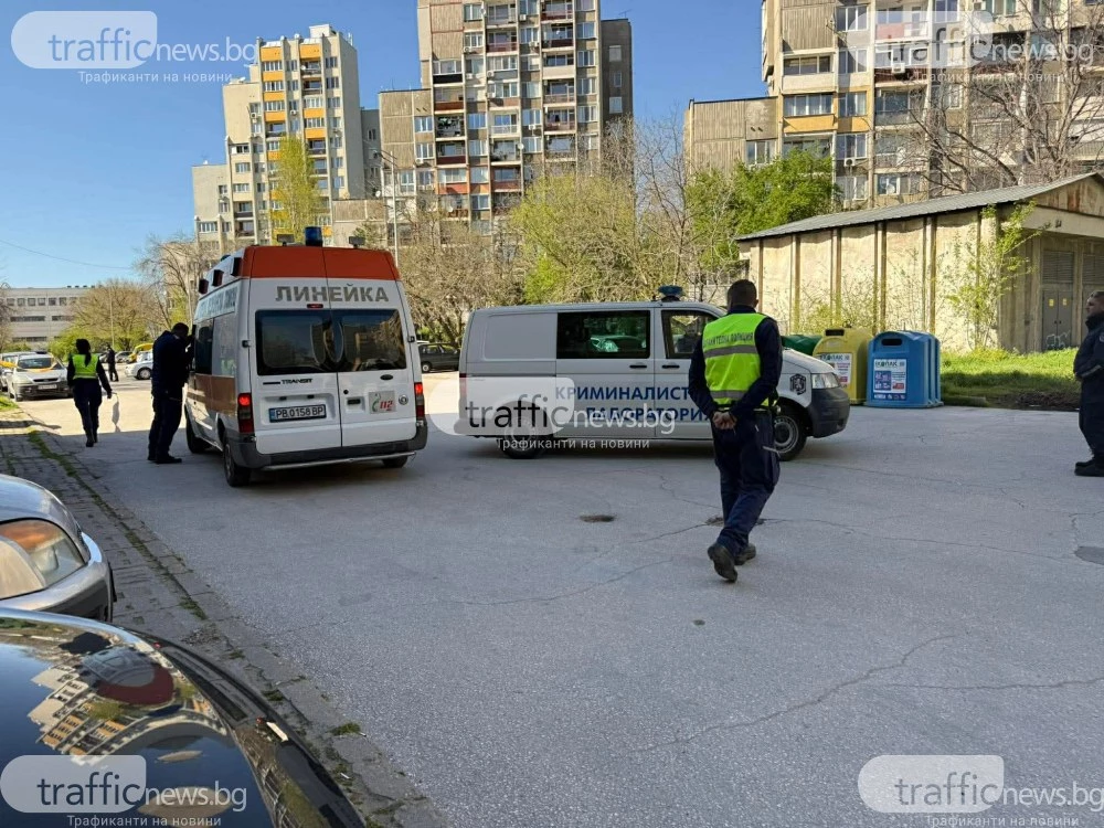 Без следа от глава и крайници при откритото тяло край контейнер в Тракия, установяват самоличността