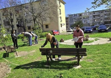 Засадиха дръвчета и облагодориха междублоково пространство в район Северен
