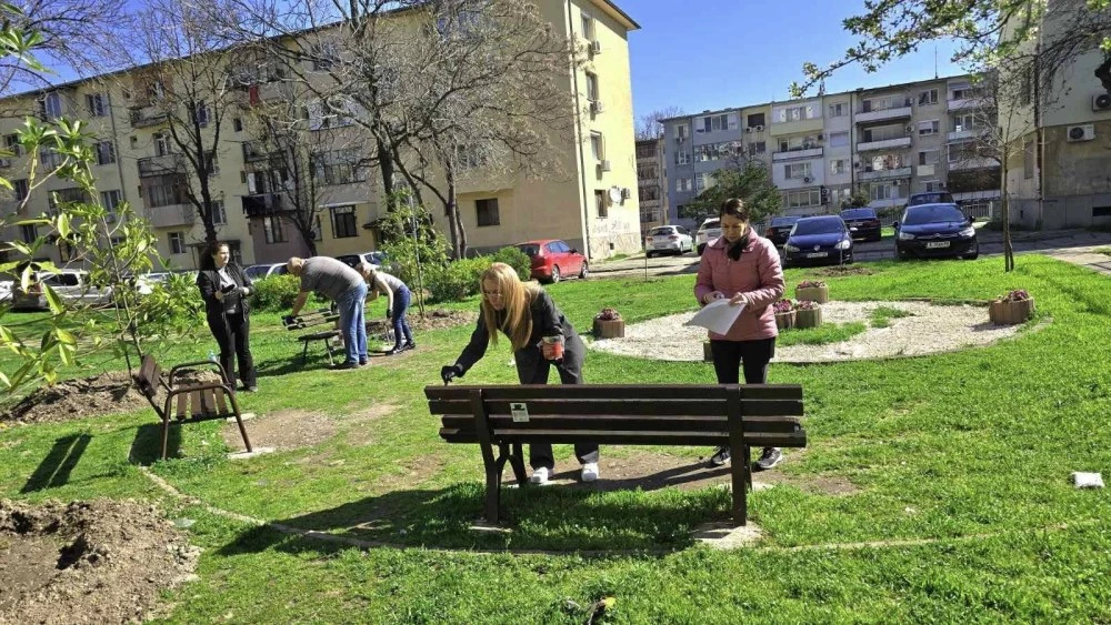 Засадиха дръвчета и облагодориха междублоково пространство в район 