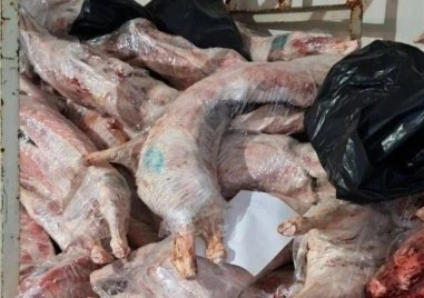 800 заклани агнета, насочени за унищожаване, изчезнаха от месокомбинат в Свищов