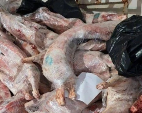 800 заклани агнета, насочени за унищожаване, изчезнаха от месокомбинат в Свищов