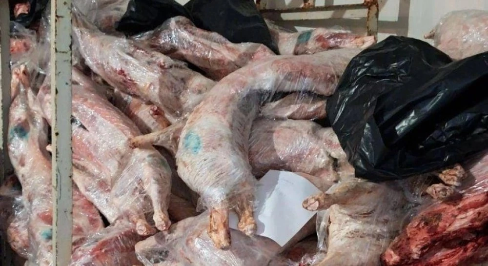 800 агнета, насочени за унищожаване, изчезнаха от месокомбинат в Свищов