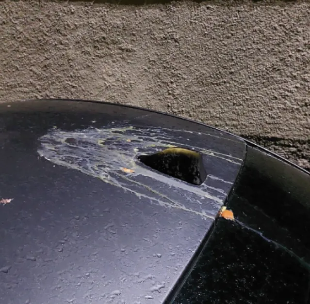 Замериха с яйца колата на жена в Сливен СНИМКИ