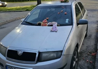 ​Динена вендета в Кършияка: Пловдивчани „превъзпитаха шофьор, объркал градинка със сметище