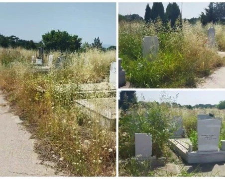 Започва мащабно разчистване на гробищата в Пловдив, плащат 100 хил. евро за косене и пръскане