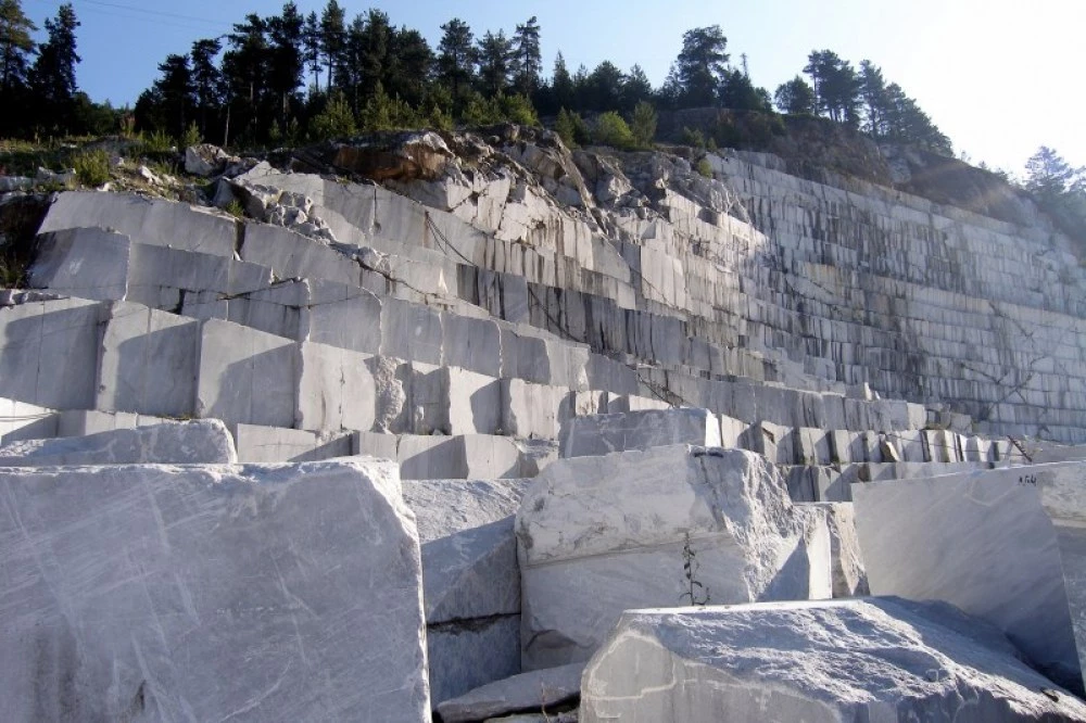 РИОСВ спря още една кариера на Запрянов в Асеновградско – проектът засяга държавни гори