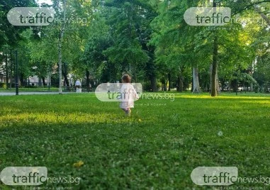 Нова ера за децата в киното: Строги правила запълват правния вакуум на снимачната площадка