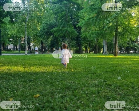 Нова ера за децата в киното: Строги правила запълват правния вакуум на снимачната площадка