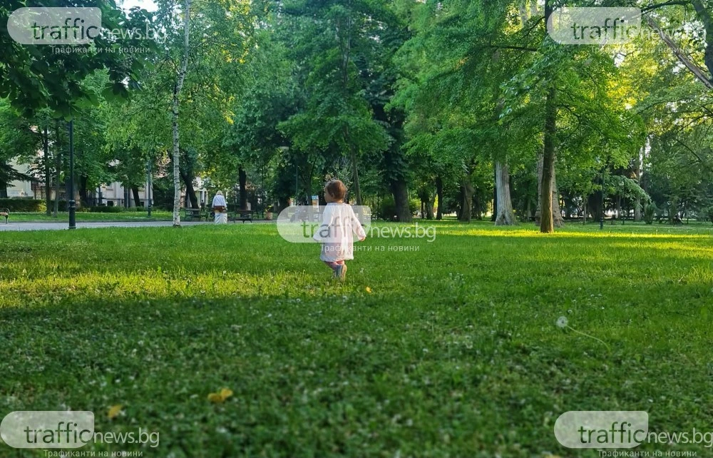 Нова ера за децата в киното: Строги правила запълват правния вакуум на снимачната площадка