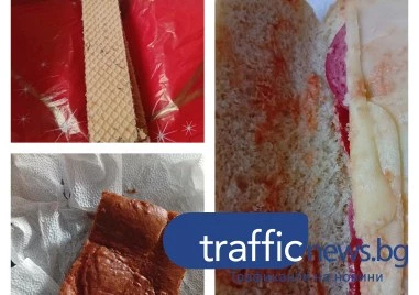 Сигнал за лоша храна и липса на охрана в социален комплекс в Пловдив СНИМКИ