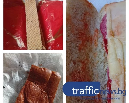 Сигнал за лоша храна и липса на охрана в социален комплекс в Пловдив СНИМКИ