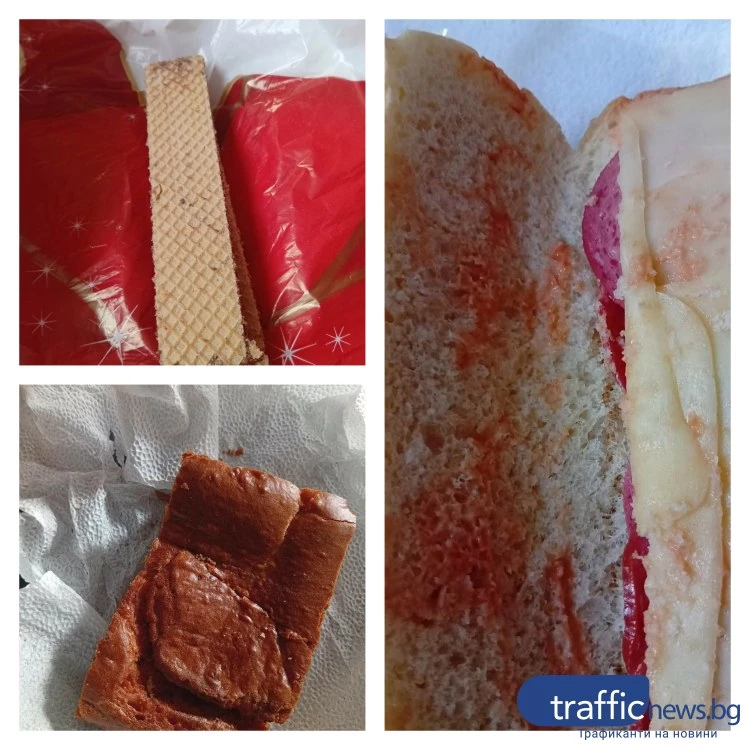 Сигнал за лоша храна и липса на охрана в социален комплекс в Пловдив СНИМКИ