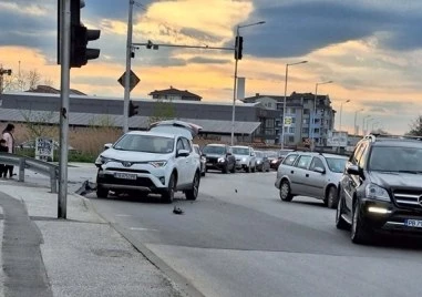 Двама загинали и 11 ранени в 13 тежки катастрофи за 24 часа